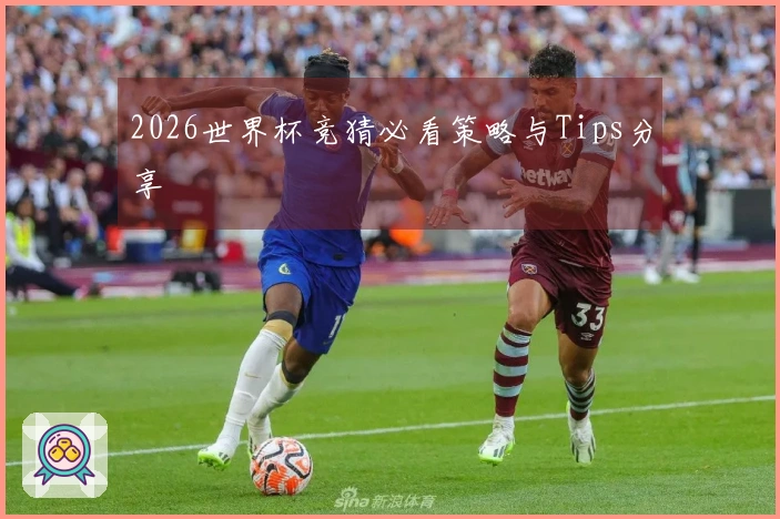 2026世界杯竞猜必看策略与Tips分享