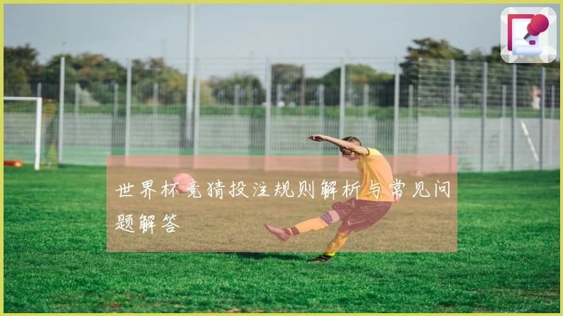 世界杯竞猜投注规则解析与常见问题解答