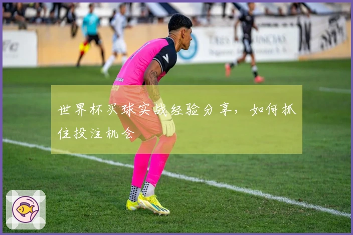 世界杯买球实战经验分享，如何抓住投注机会