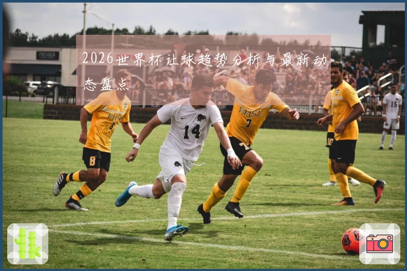 2026世界杯让球趋势分析与最新动态盘点