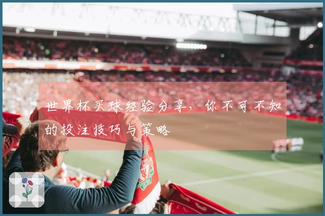 世界杯买球经验分享，你不可不知的投注技巧与策略