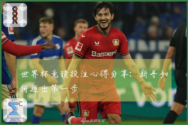 世界杯竞猜投注心得分享：新手如何迈出第一步