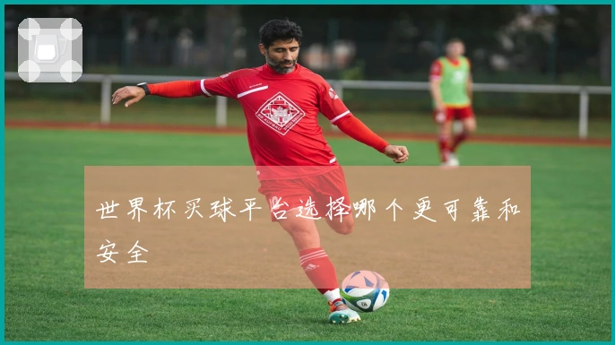 世界杯买球平台选择哪个更可靠和安全