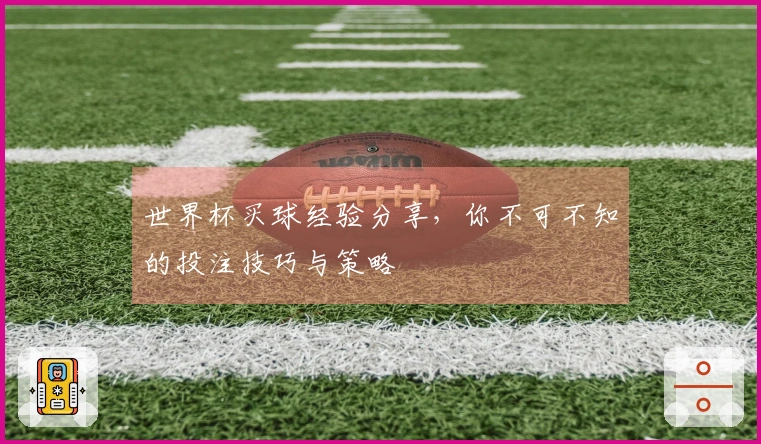 世界杯买球经验分享，你不可不知的投注技巧与策略
