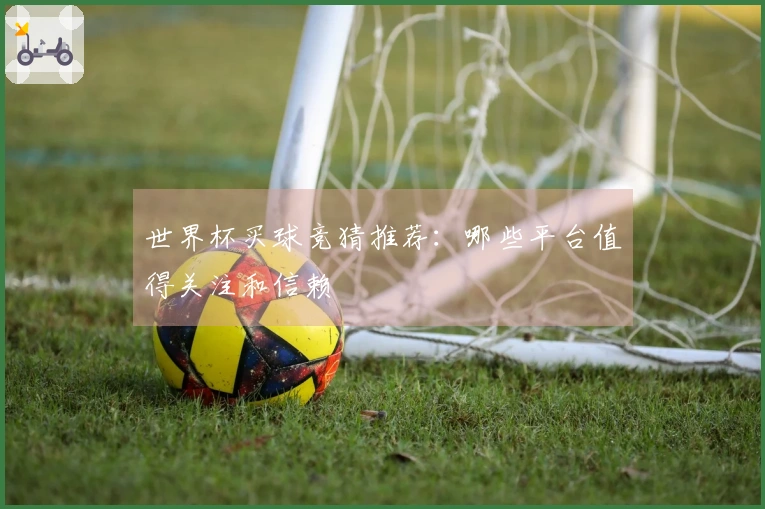 世界杯买球竞猜推荐：哪些平台值得关注和信赖
