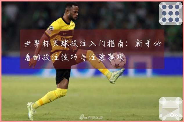 世界杯买球投注入门指南：新手必看的投注技巧与注意事项