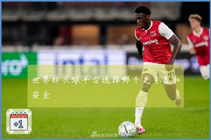 世界杯买球平台选择哪个更可靠和安全